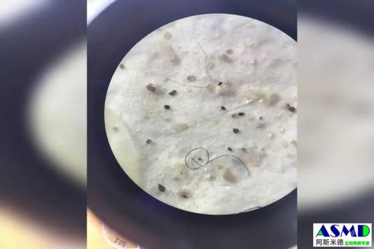 揪心！超7成海鱼体内含微塑料！这种污染有多恐怖？