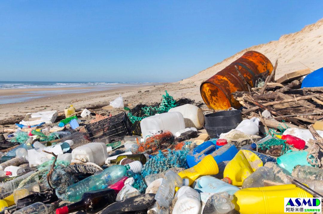 人类或有可能彻底终结塑料污染