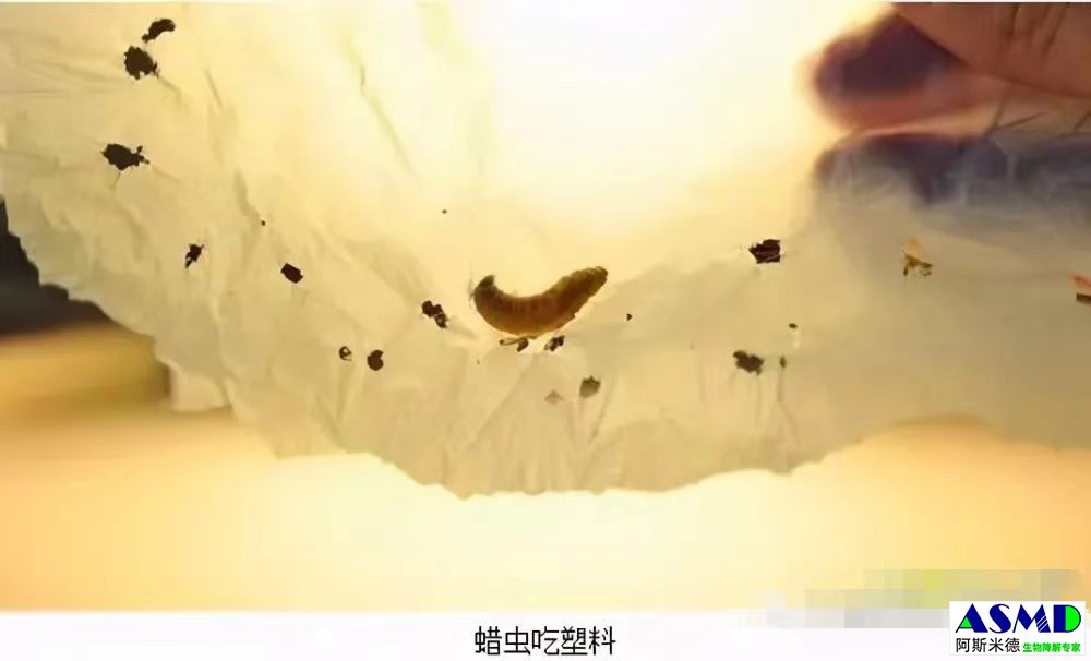 微信图片_20240229100417.jpg