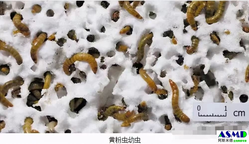 微信图片_20240229100625.jpg