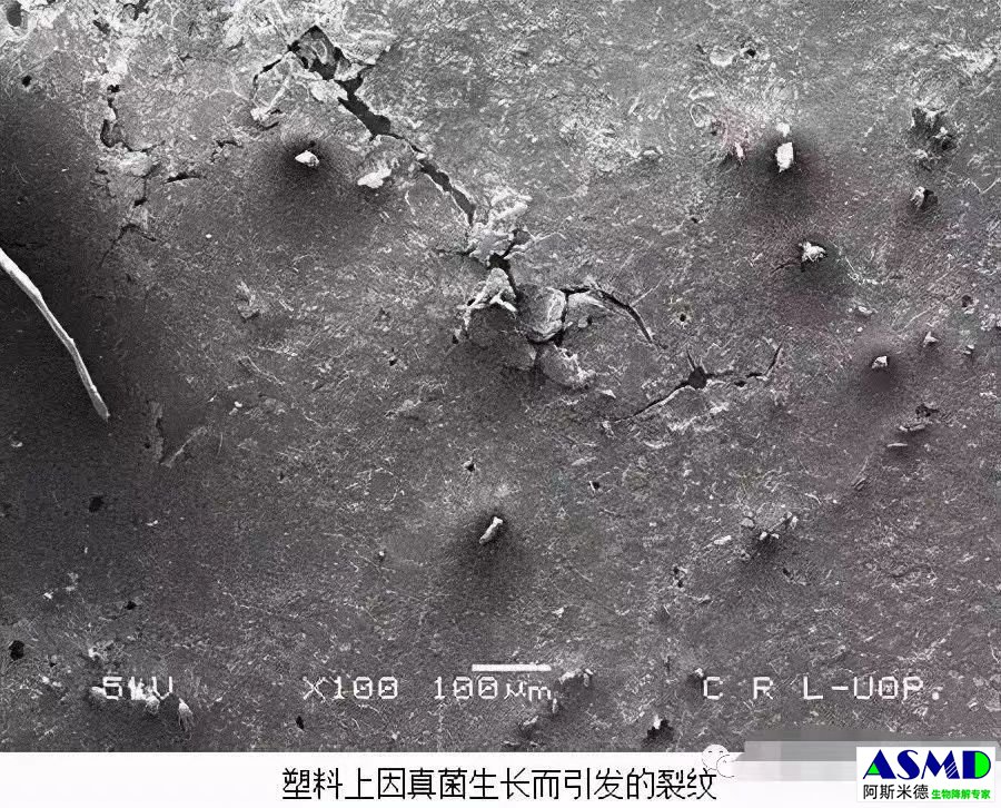 微信图片_20240229101039.jpg